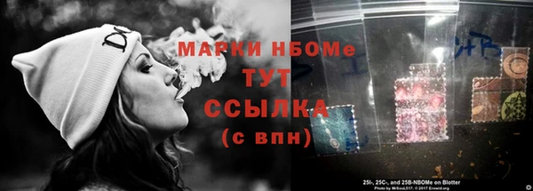 стаф Заводоуковск
