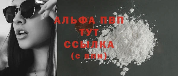 стаф Заводоуковск
