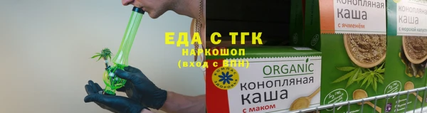 стаф Заводоуковск