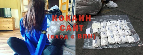 стаф Заводоуковск