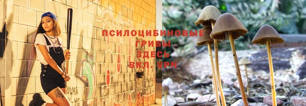 соль ск Заволжье