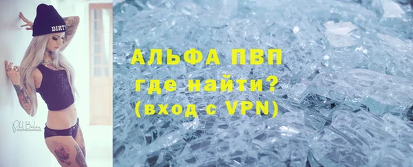 стаф Заводоуковск