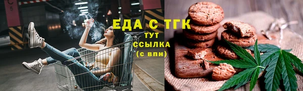 стаф Заводоуковск