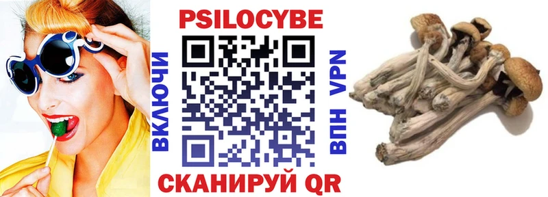 Псилоцибиновые грибы Cubensis  Купить закладки  Наро-Фоминск 